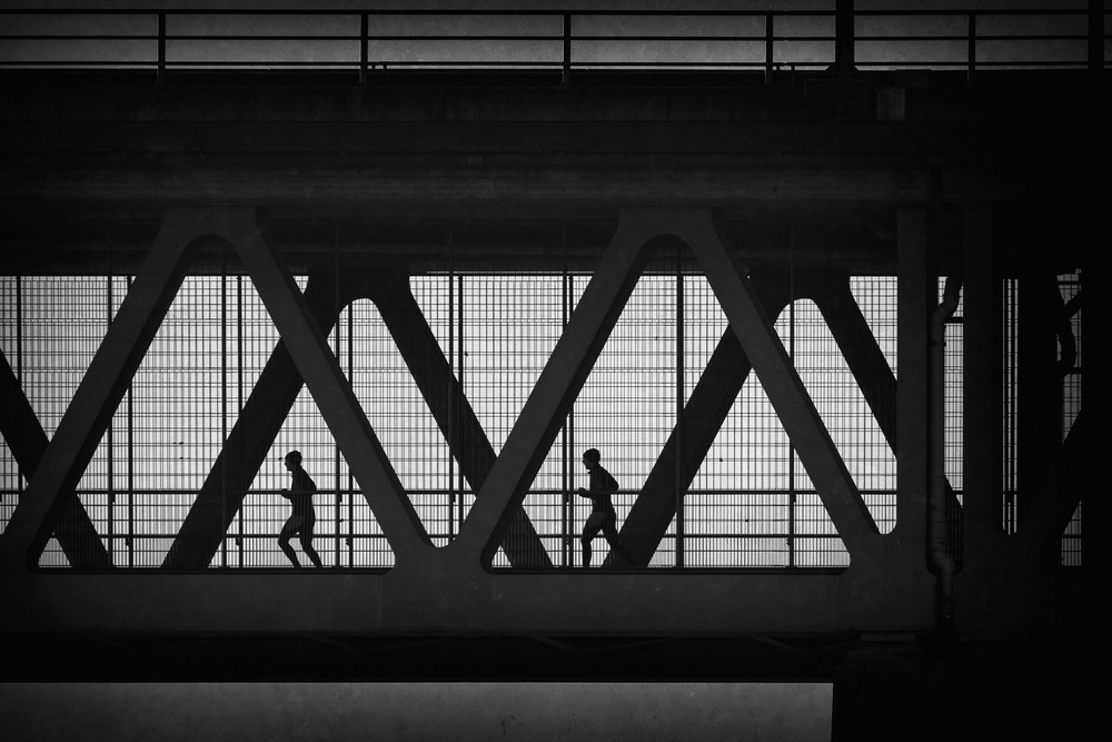 Joggers in cage von Roswitha Schleicher-Schwarz