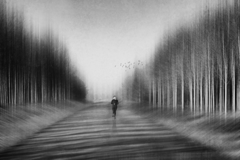 jogger in the park von Roswitha Schleicher-Schwarz