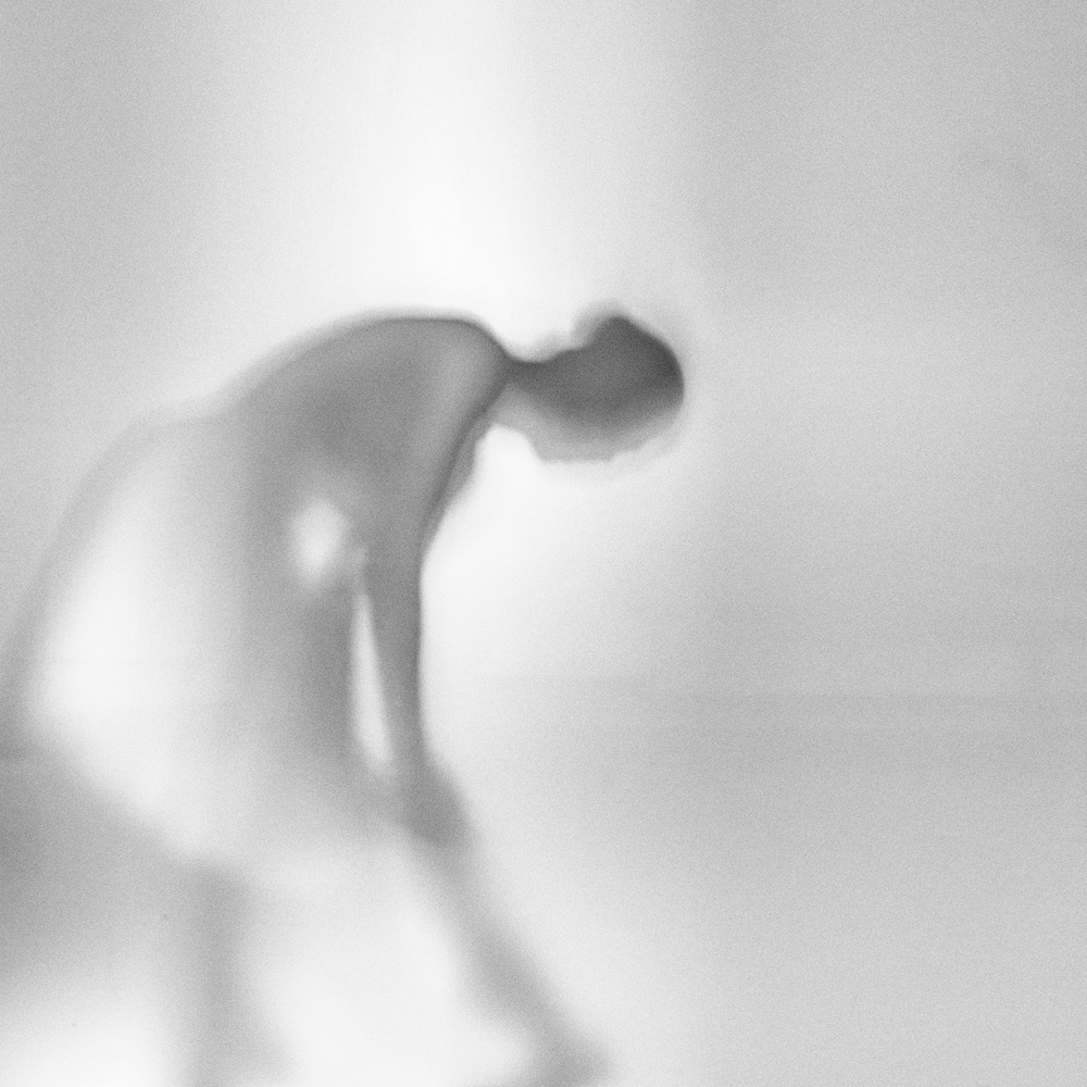 dressing in the morning von Roswitha Schleicher-Schwarz