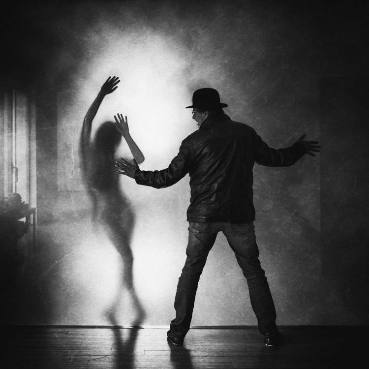 the invisible wall von Roswitha Schleicher-Schwarz