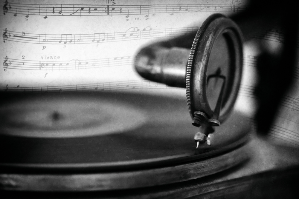 vivace von Roswitha Schleicher-Schwarz