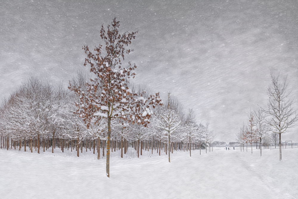 Winter countryside von Roswitha Schleicher-Schwarz