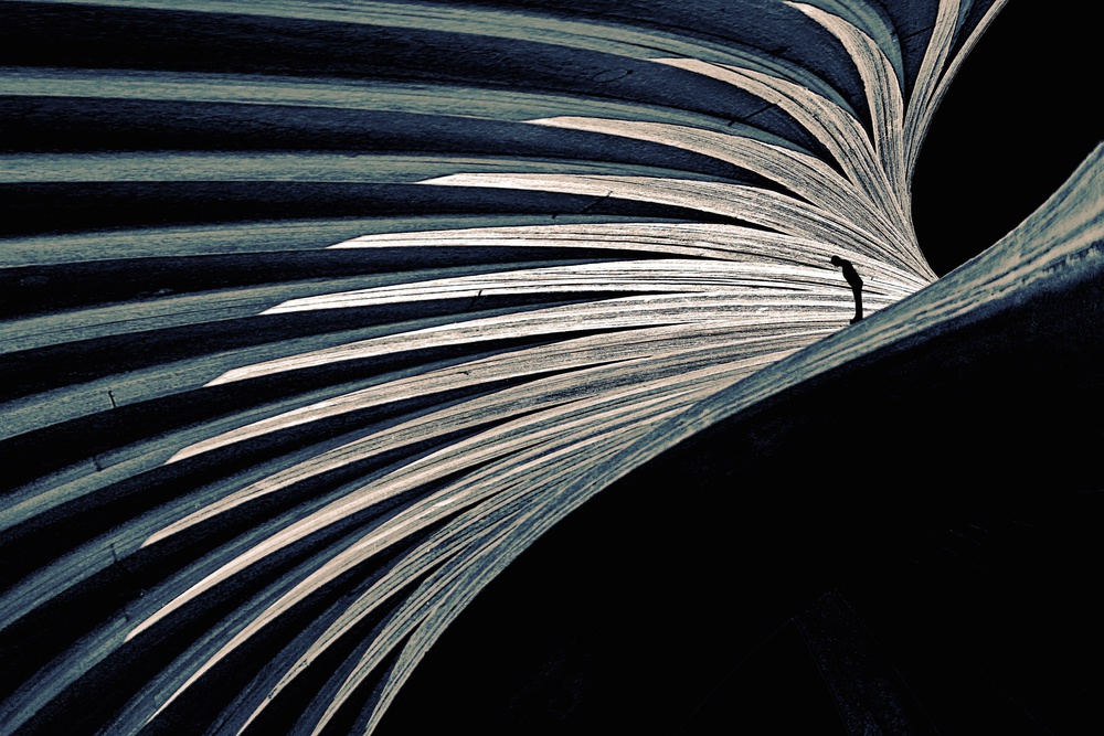 Cornisa von Roxana Labagnara