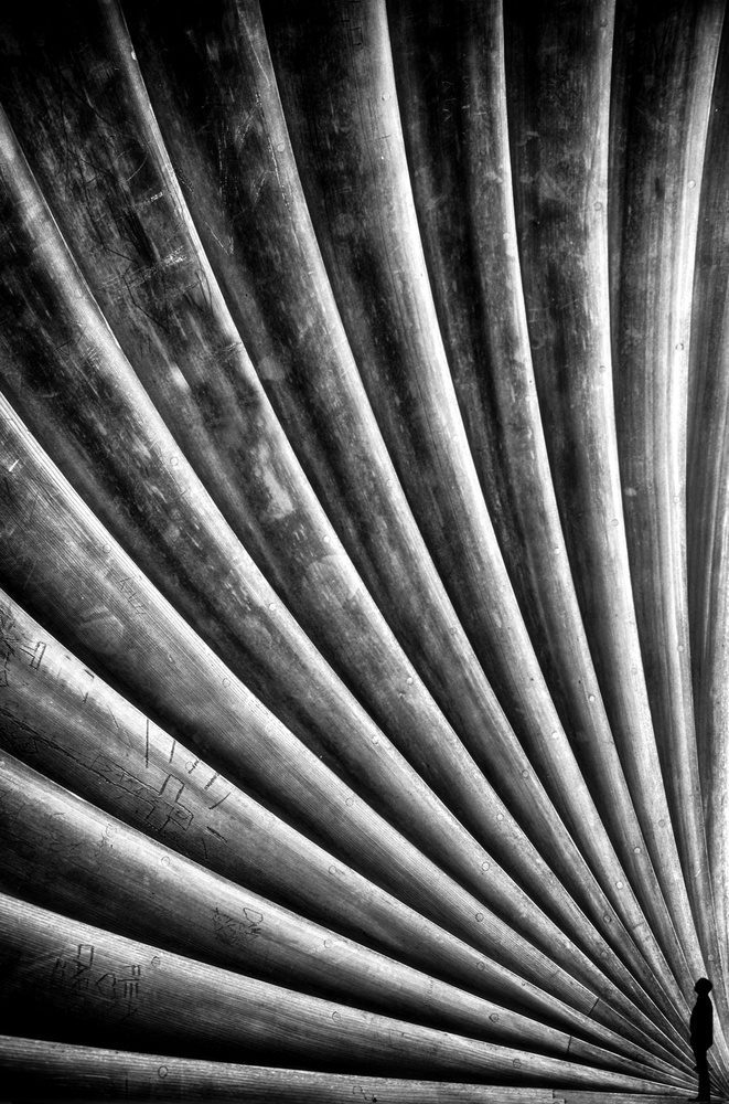 Expansión von Roxana Labagnara