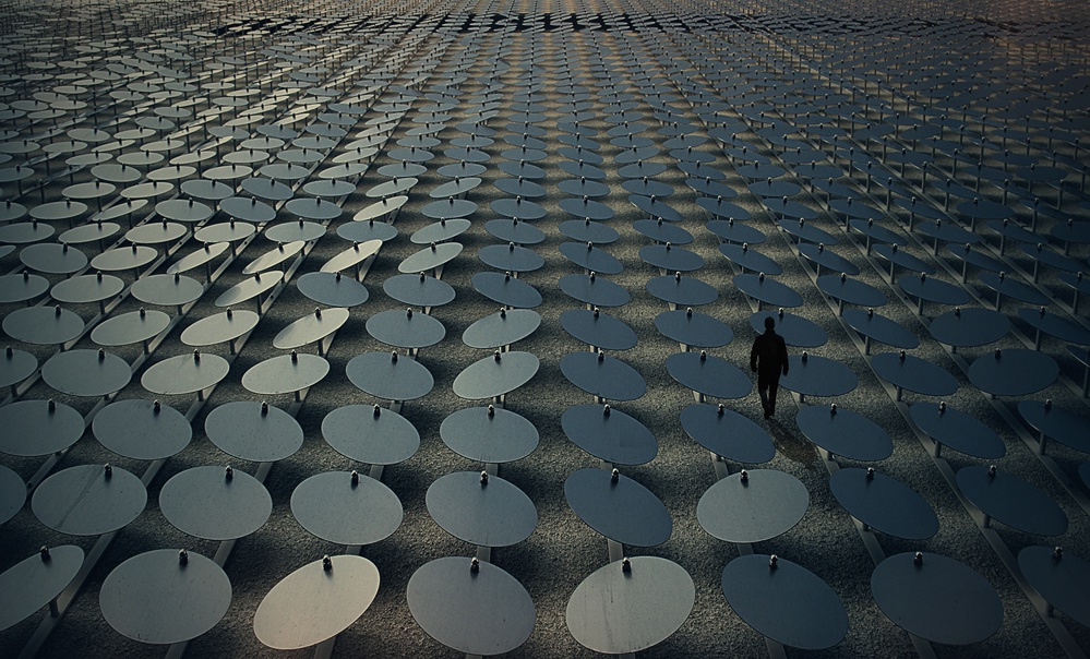 Circles von Roxana Labagnara