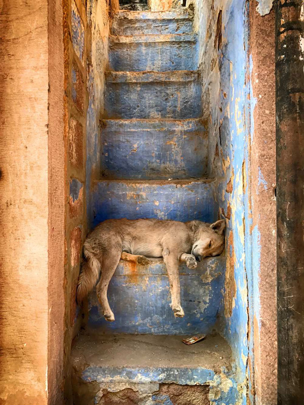 Nap time von Roxana Labagnara