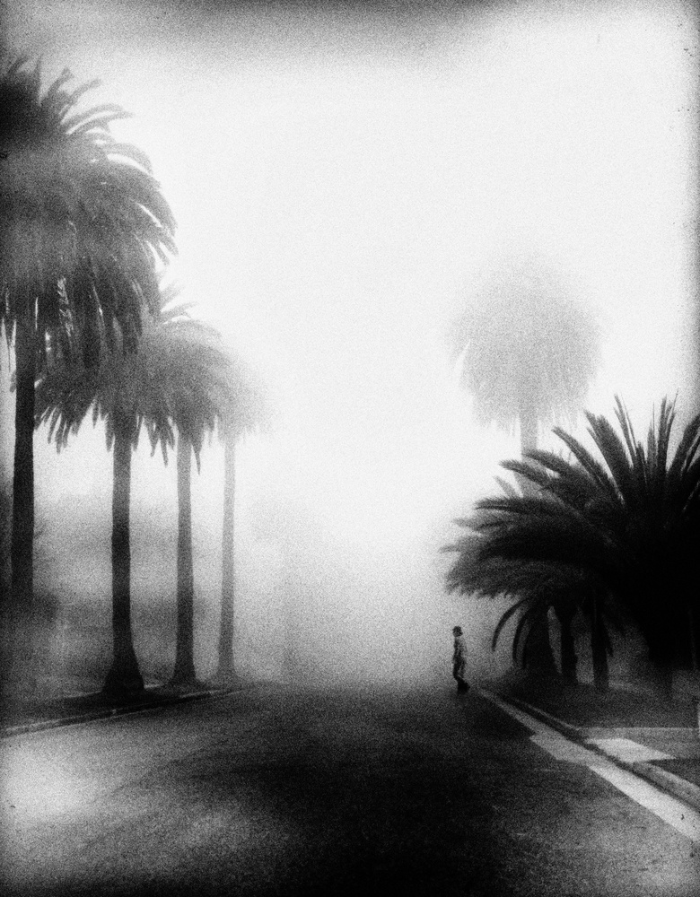Fog von Roxana Labagnara