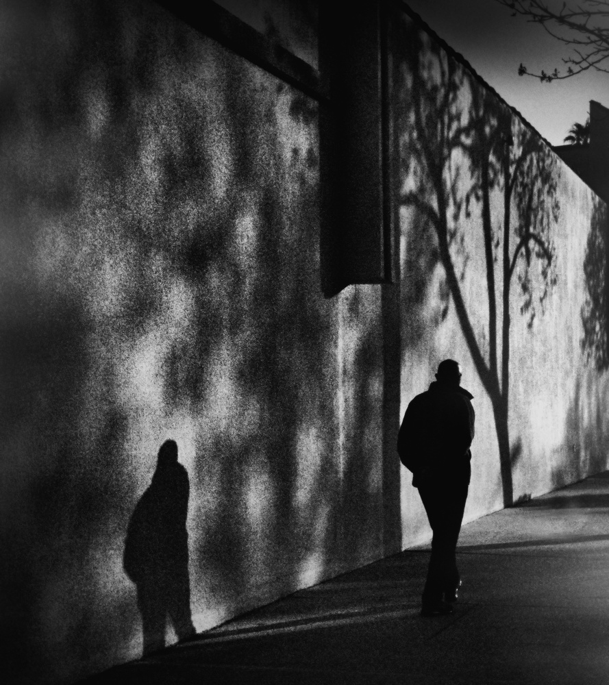 Shadows on Montana Avenue von Roxana Labagnara