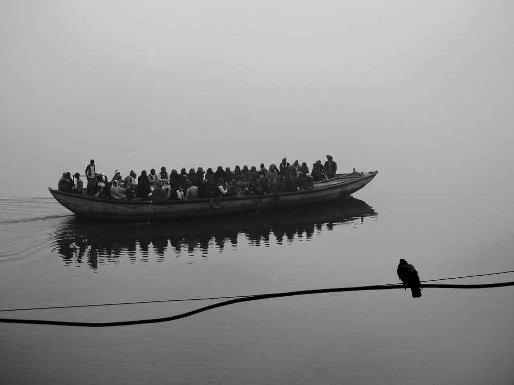Spectator von Roxana Labagnara