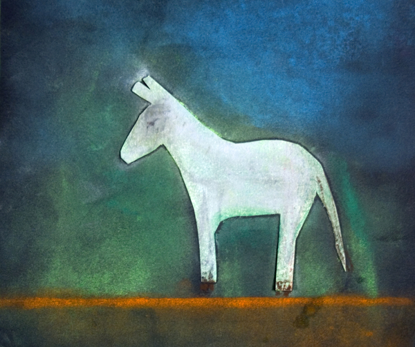 Donkey von Roya  Salari