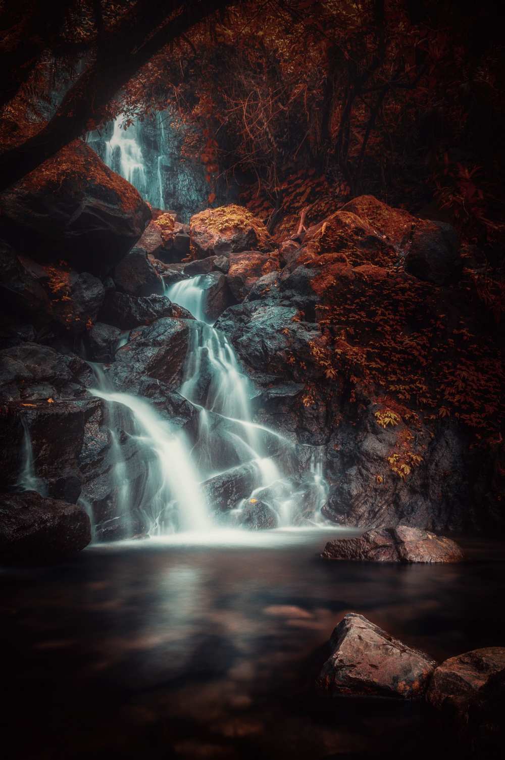 Red Eden von Rudi Gunawan