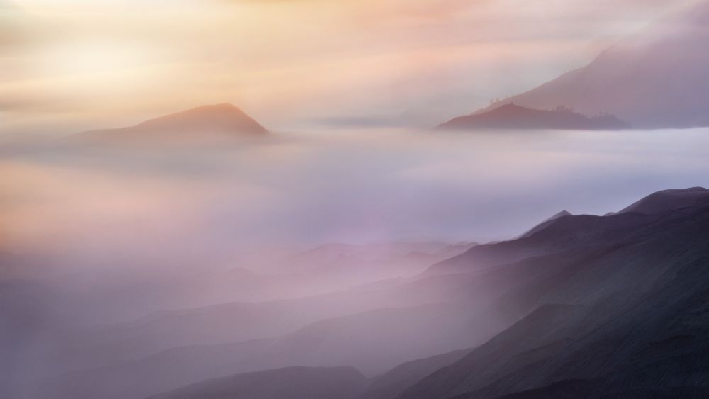 Vanille von Rudi Gunawan