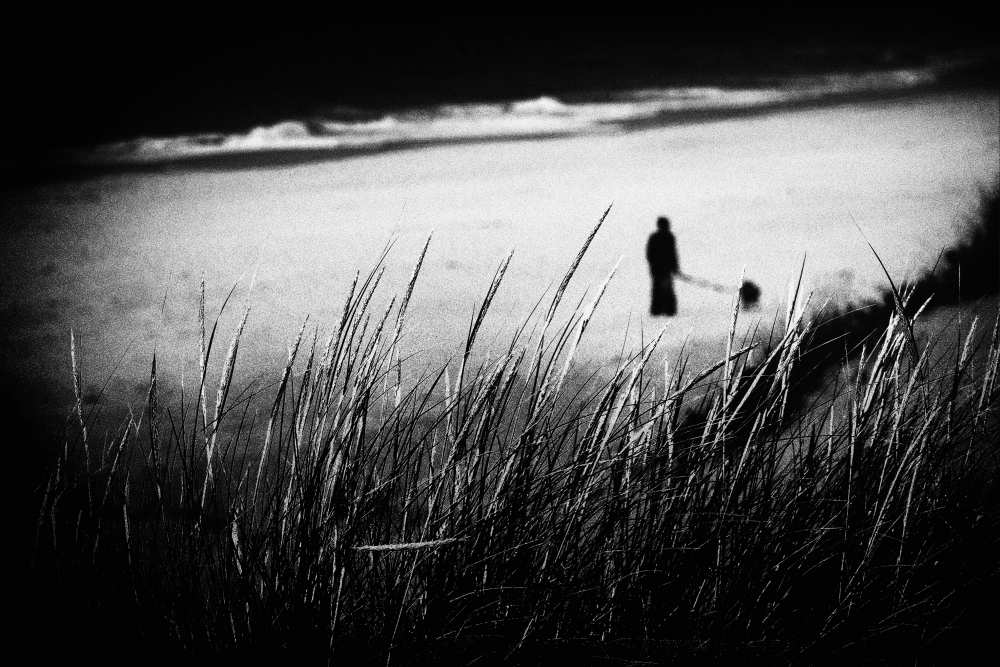 Timeflies von Rui Correia