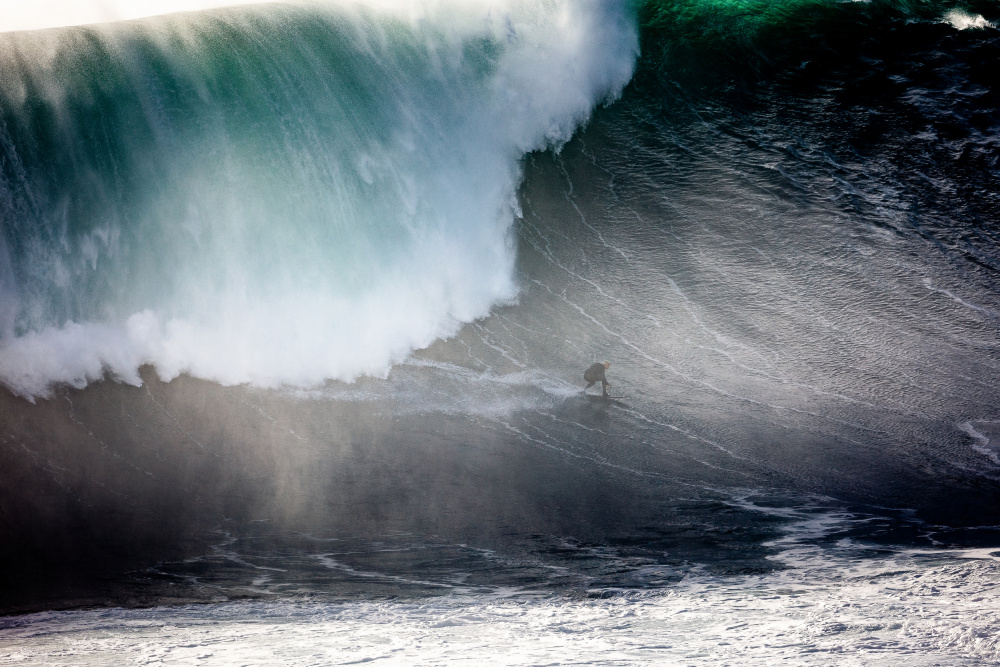 The Way Out von Rui David