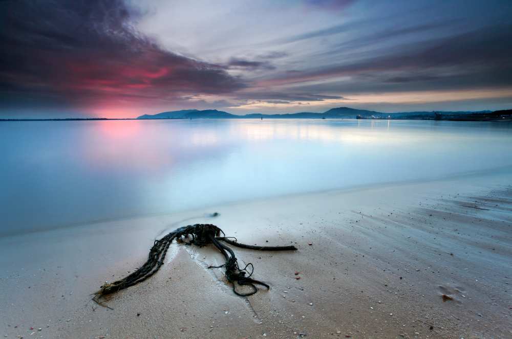 read the signs von Rui David