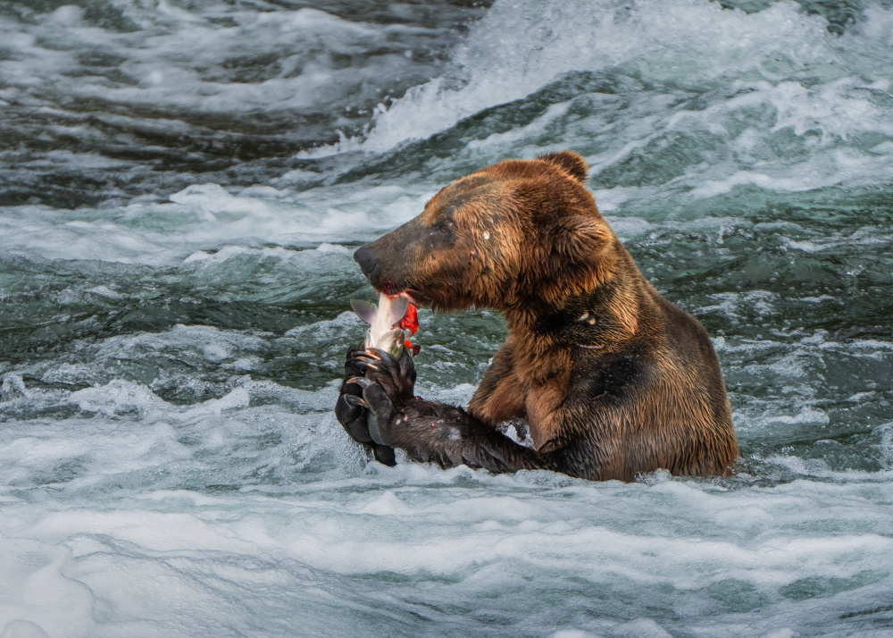 Dinner in hot tub von Ruiqing P.