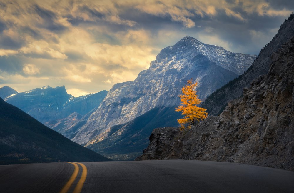 You caught my eye von Ruiqing P.