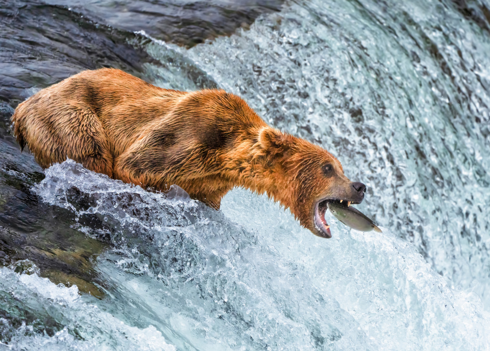 Catch of the day von Ruiqing P.