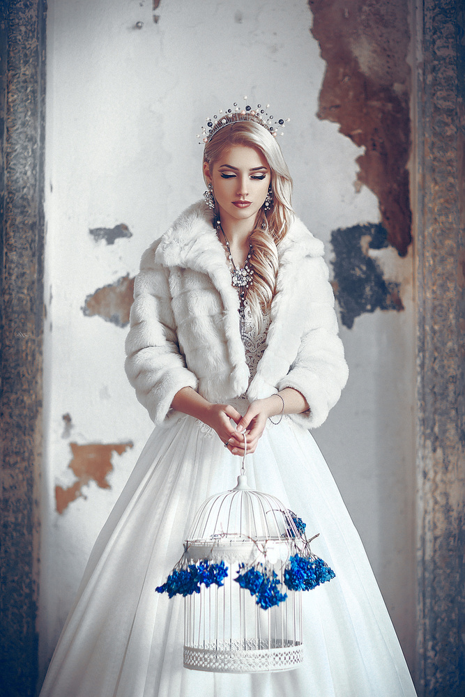 The Fairy Bride von Ruslan Bolgov (Axe)