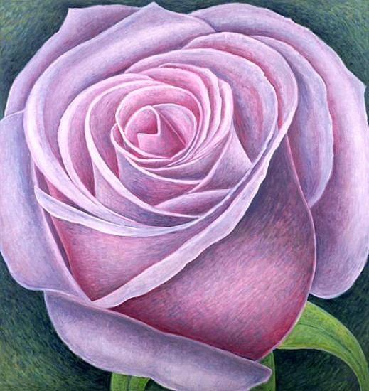 Big Rose, 2003 (oil on canvas)  von Ruth  Addinall