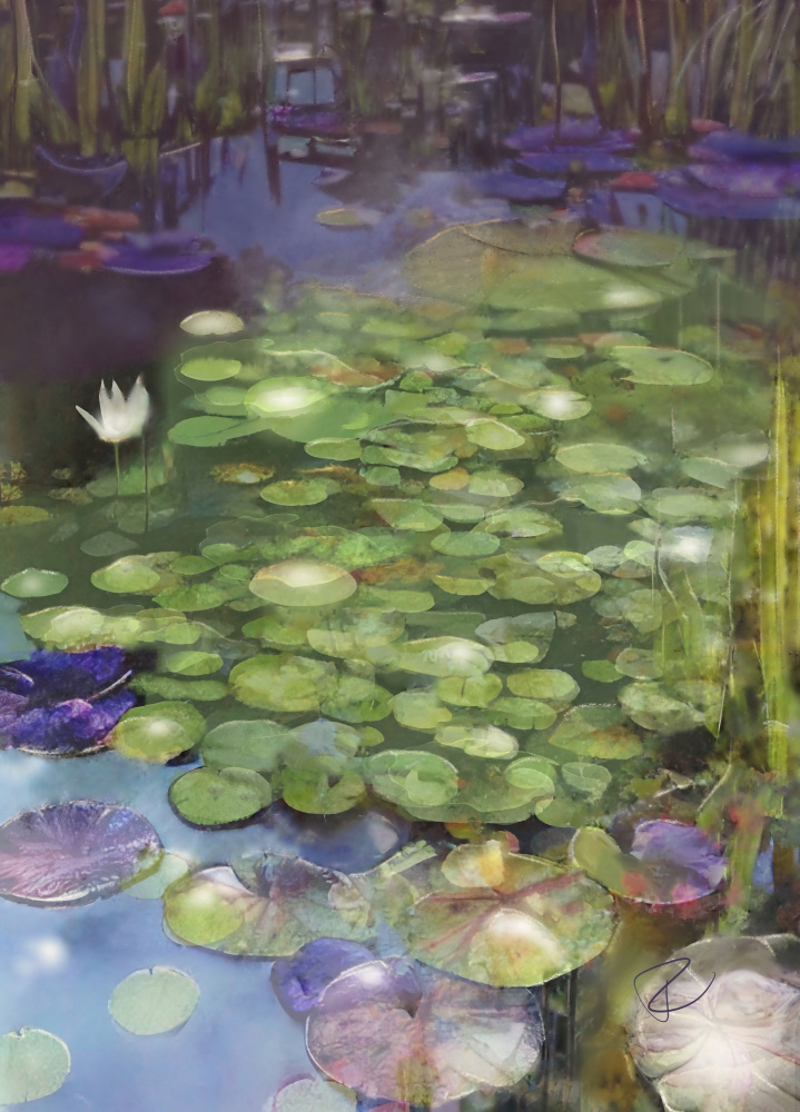 Lily Pad Pond von Ruth Day