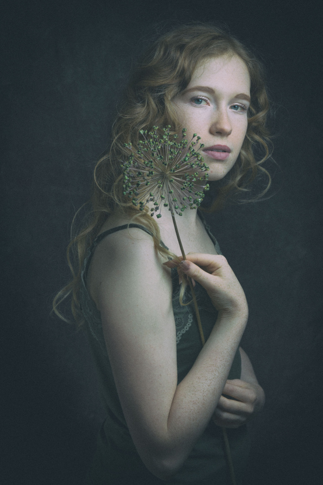 the beauty von Ruth Franke