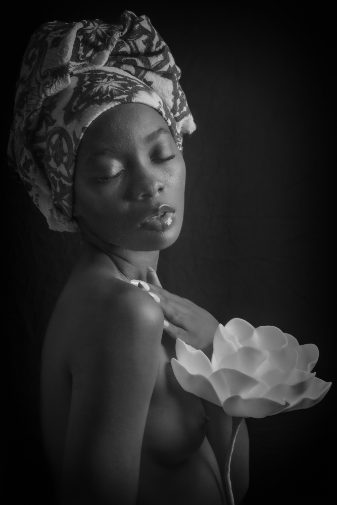 the beauty von Ruth Franke