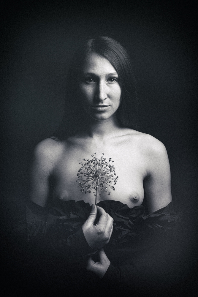 a r t von Ruth Franke