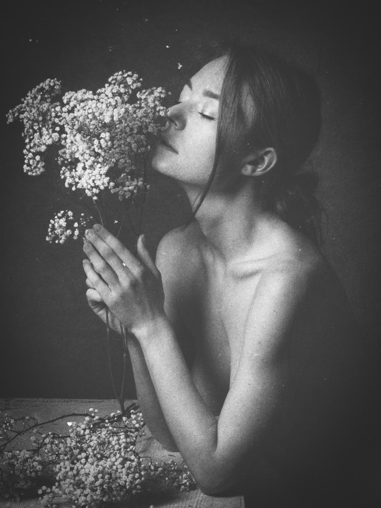 perfume von Ruth Franke