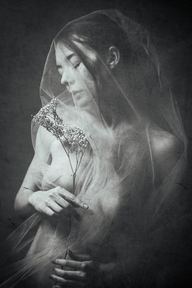 veiled von Ruth Franke