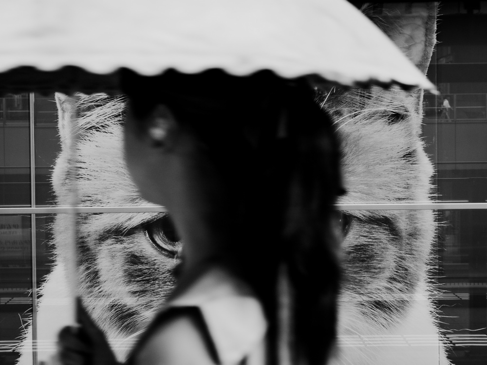 untitledl von Ryoga Otake