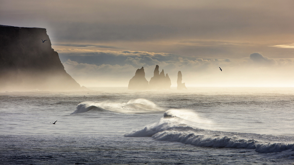 Dyrholaey-1, Iceland von Ryu Shin Woo