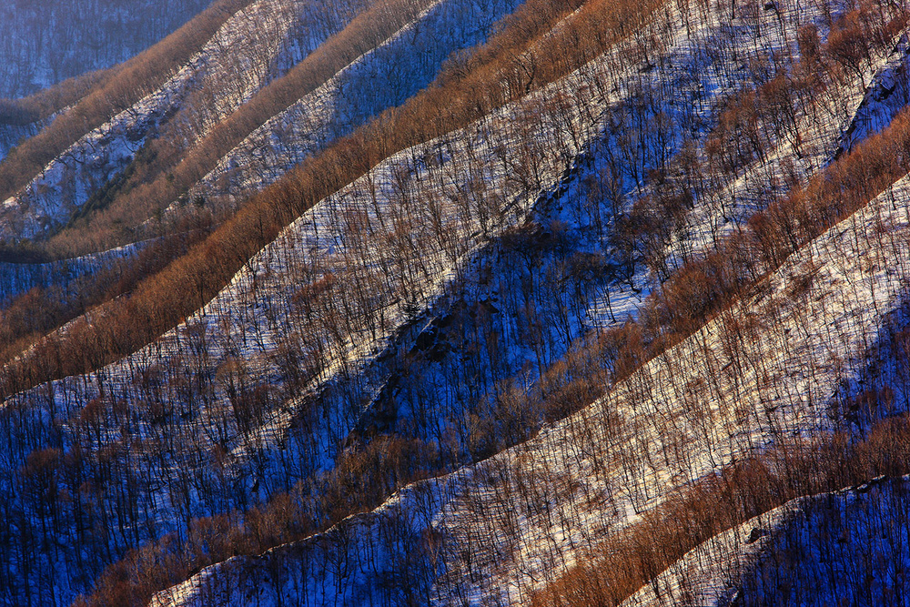 Remaining Snow von Ryu Shin Woo