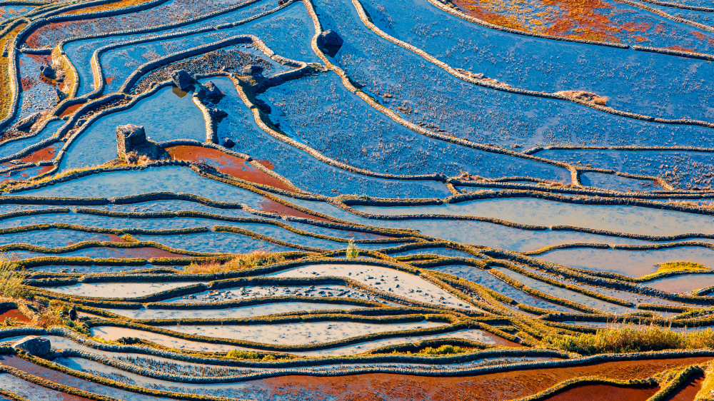 Terraced Field-4 von Ryu Shin Woo