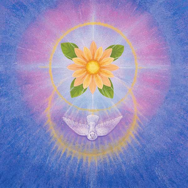 Flower (acrylic on canvas)  von S. Cook