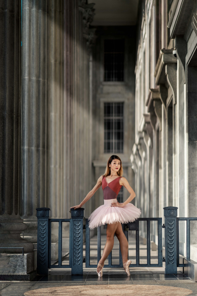 The Last Dance von S E Ong