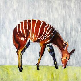 Nyala-Antilope