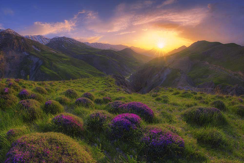 Frühling in der Show von saeed younesi