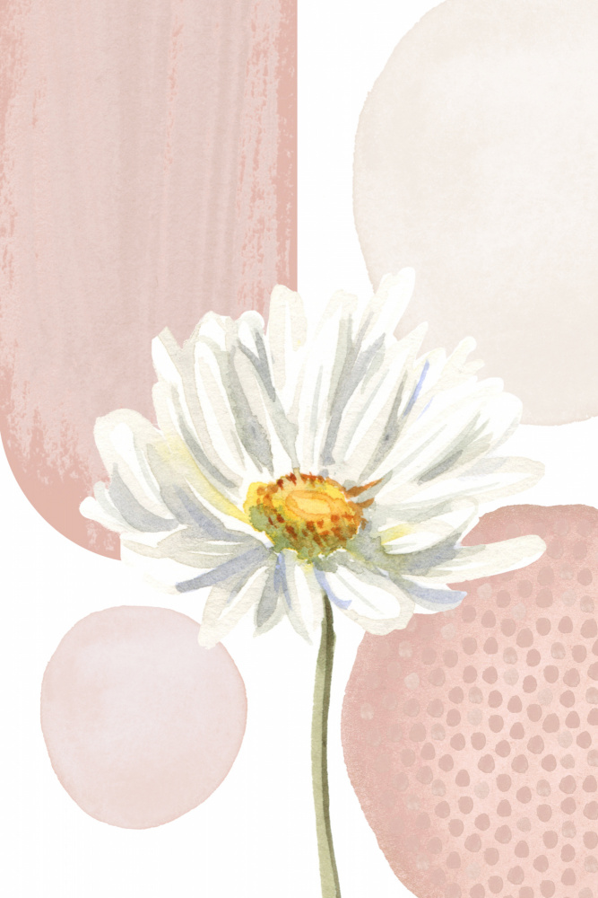 Daisy Pinks 1 von Sally Ann Moss