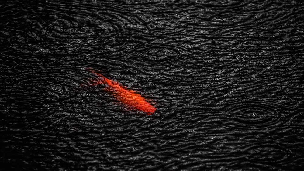 Ohne Titel von Saman Khoshamuz