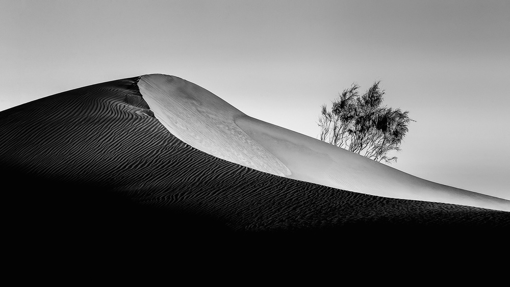 The Residents of Silence von saman pour khoshamouz