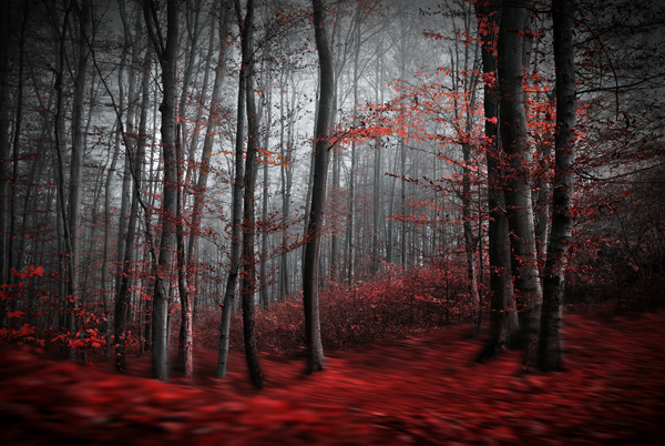 Bloody River von Samanta