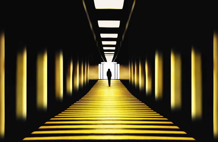 Sunny path von Samanta