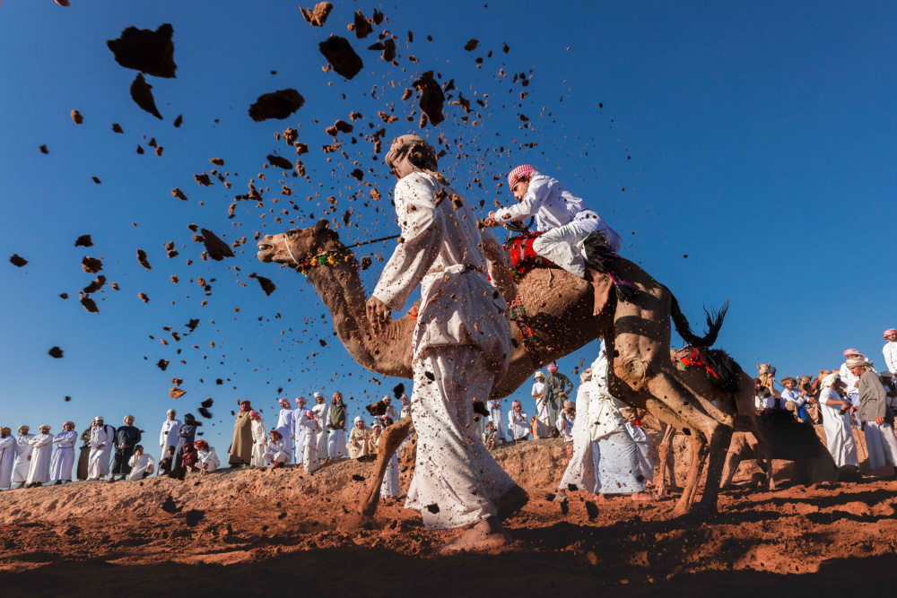 Camel Racing von Sami_alhinai