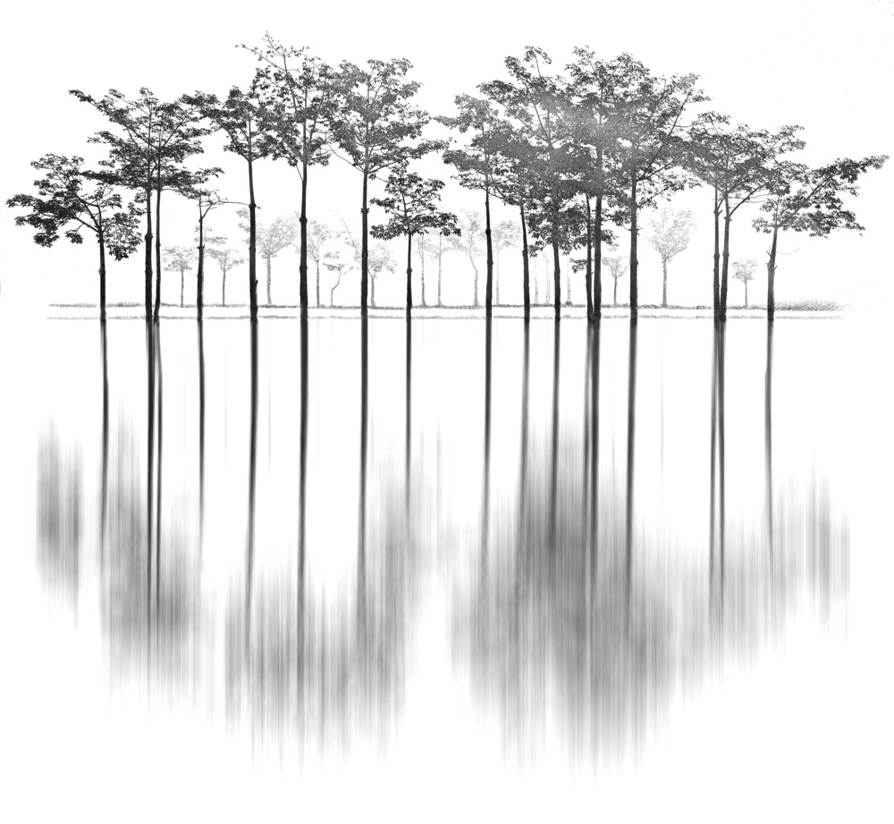 Reflections von Sami ur Rahman