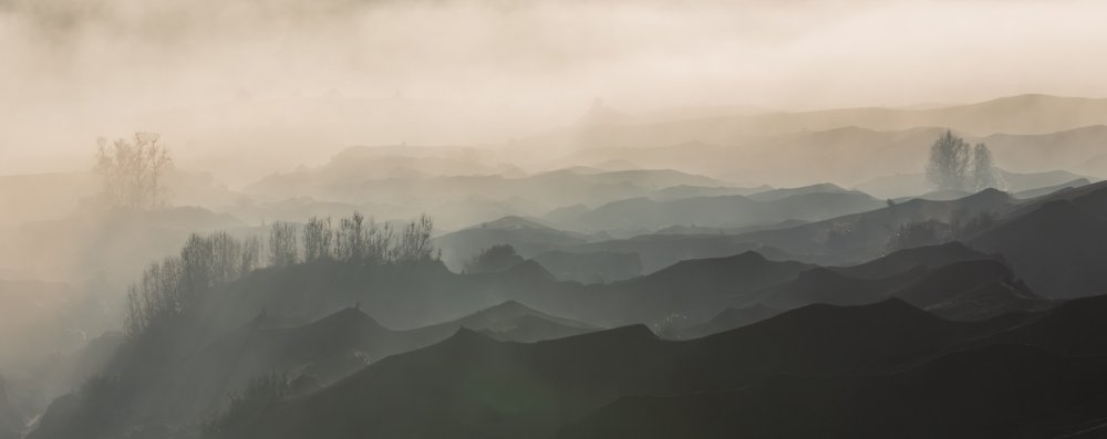 No.1 Undulation von Samuel Rubin