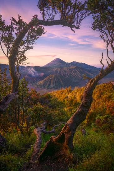 Bromo Sunrises