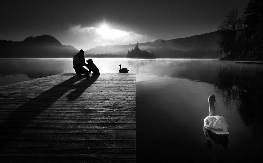 A peaceful morning at the lake von Sandi Bertoncelj