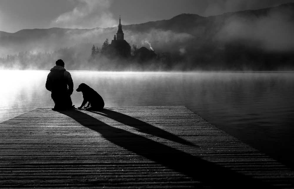 Friends forever von Sandi Bertoncelj