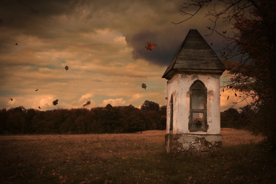 Autumn Leaves von Sandra Štimac